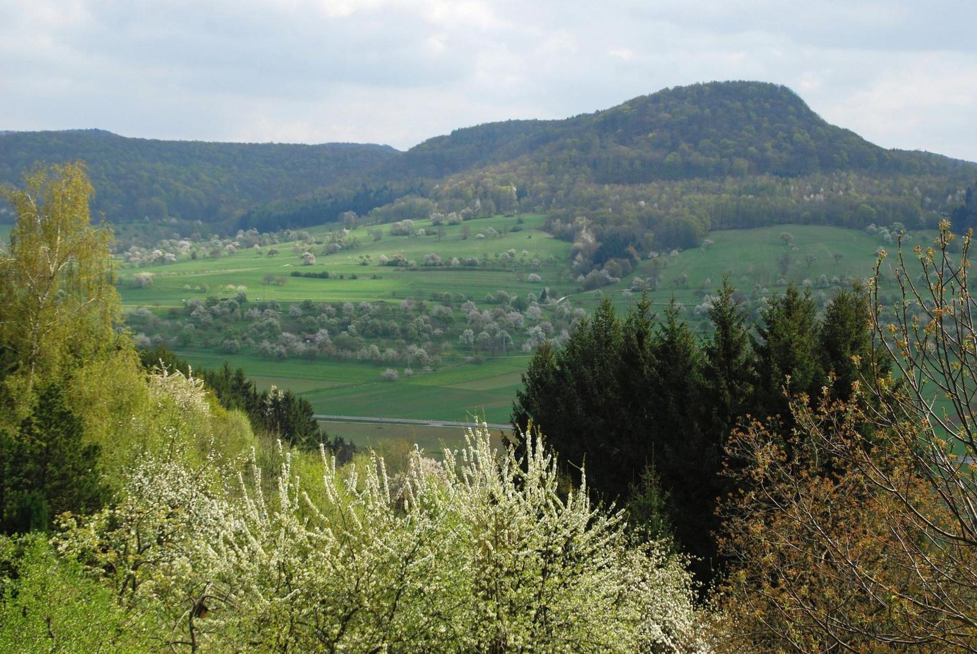 Mössingen Ferienwohnungen Beim Imker מראה חיצוני תמונה